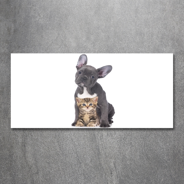Schilderij glas Hond en kat