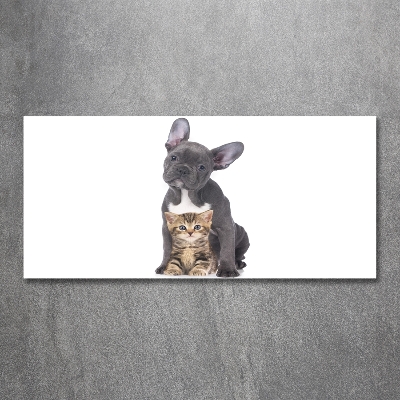 Foto-obraz szkło hartowane Pies i kot