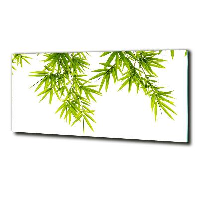 Foto obraz szkło hartowane Liście bambusa