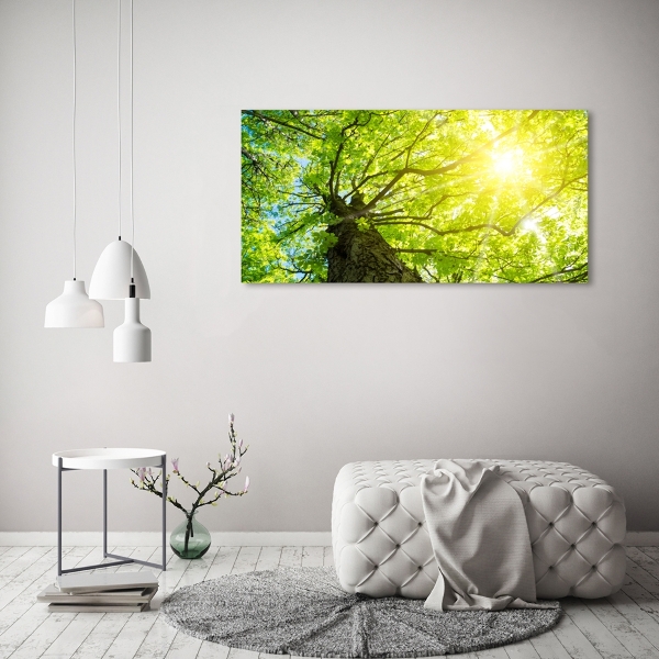 Schilderij op glas Kastanje in de lente