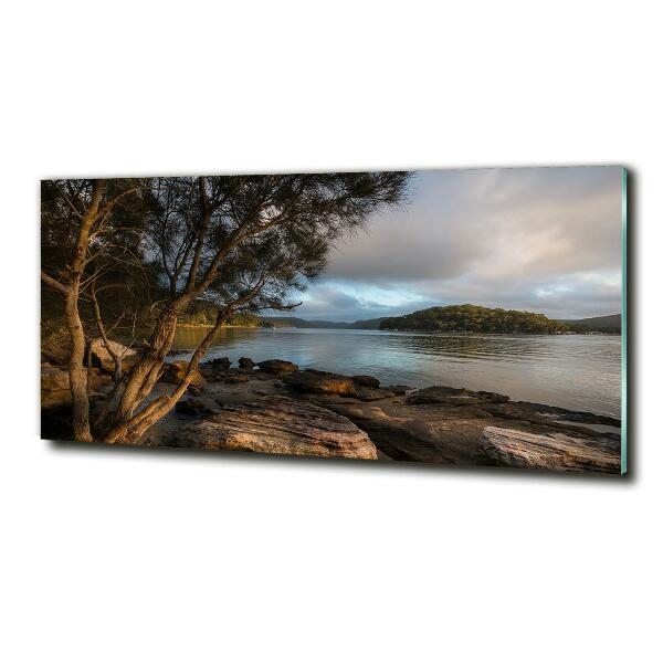 Foto obraz szklany Drzewo nad rzeką