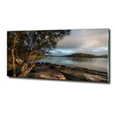 Foto obraz szklany Drzewo nad rzeką