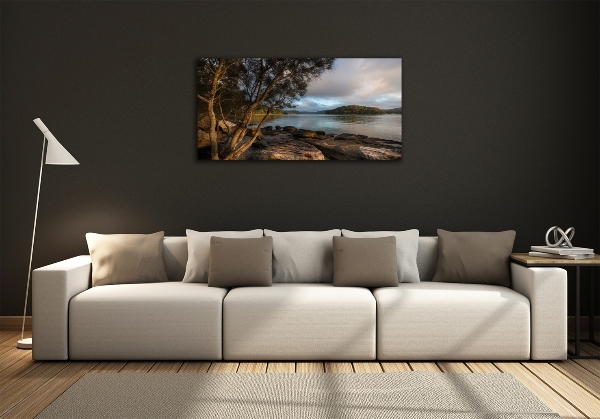 Foto obraz szklany Drzewo nad rzeką