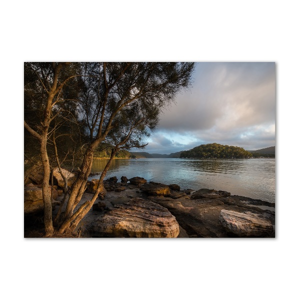 Glazen schilderij Een boom aan de rivier