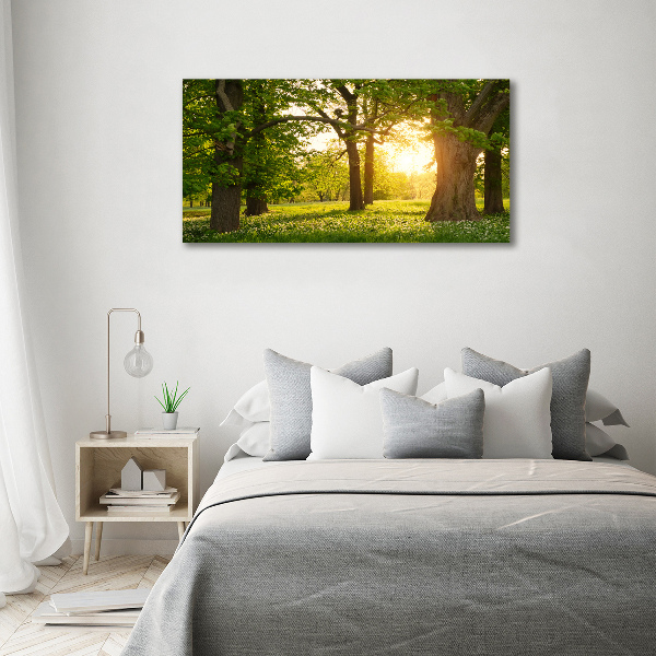 Foto schilderij op glas Bomen in het park