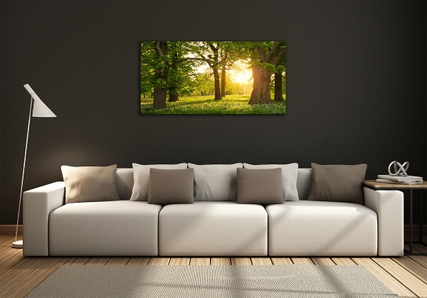 Foto schilderij op glas Bomen in het park