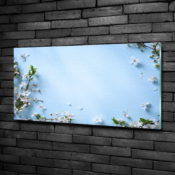 Schilderij op glas Achtergrond met kersenbloesems