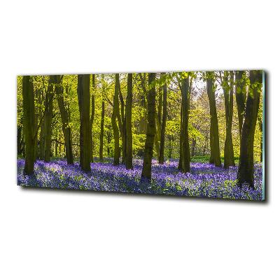 Foto schilderij op glas Bos in de lente
