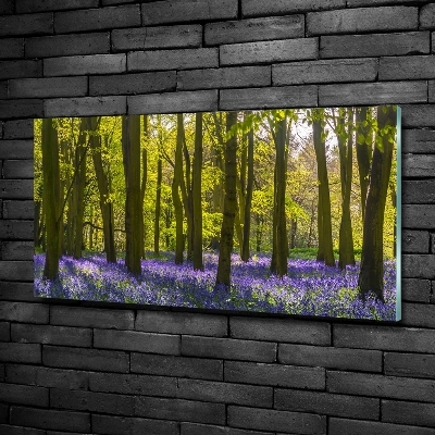 Foto schilderij op glas Bos in de lente