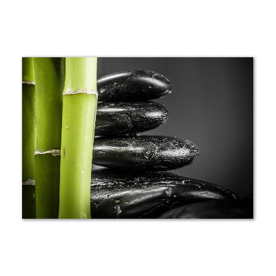 Foto obraz zdjęcie szkło hartowane Bambus