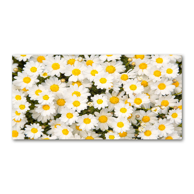 Schilderij op glas Madeliefjes