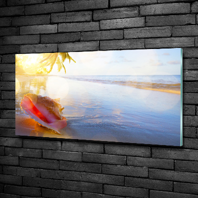 Foto schilderij op glas Een schelp op het strand
