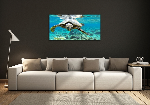 Schilderij glas Zeeschildpad