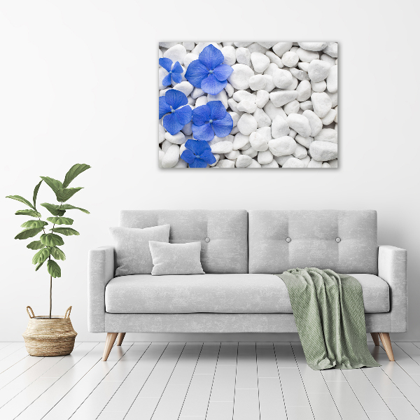 Schilderij op glas Hortensia