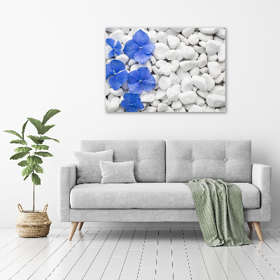 Schilderij op glas Hortensia
