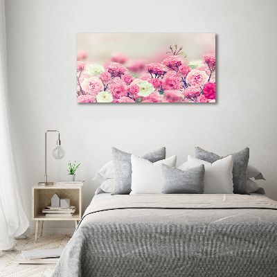 Schilderij glas Wilde rozenbloemen