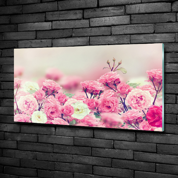 Schilderij glas Wilde rozenbloemen