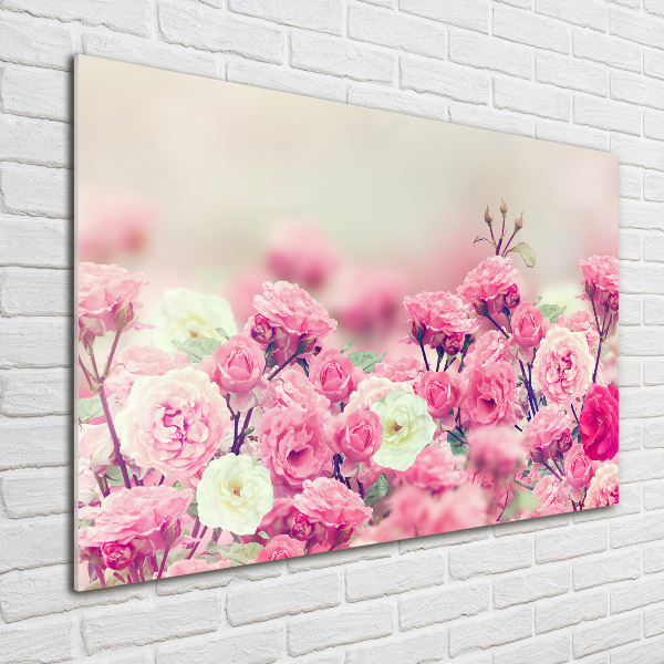 Schilderij glas Wilde rozenbloemen