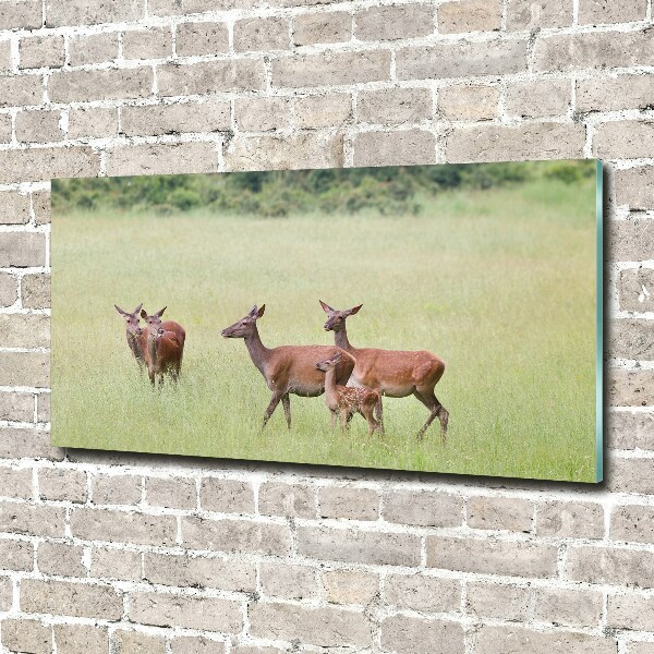 Foto schilderij op glas Ree met jongen