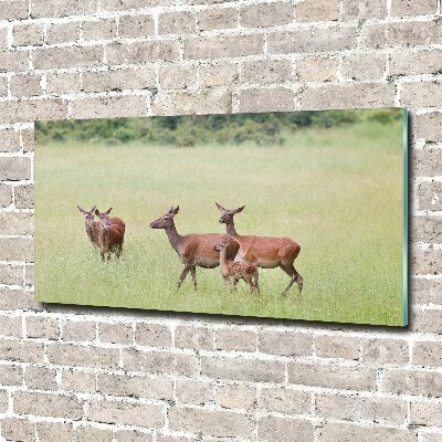 Fotoobraz na ścianę szklany Sarny z młodymi