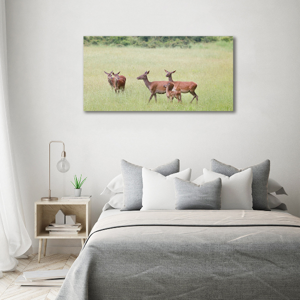 Foto schilderij op glas Ree met jongen