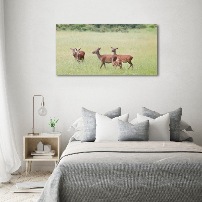 Foto schilderij op glas Ree met jongen