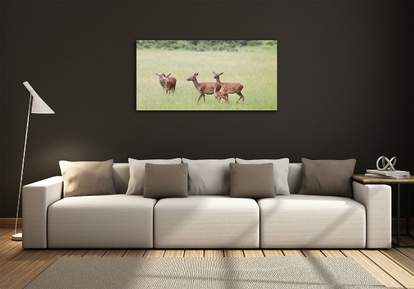 Foto schilderij op glas Ree met jongen