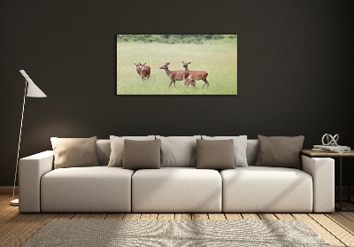 Foto schilderij op glas Ree met jongen