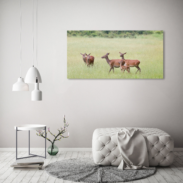 Foto schilderij op glas Ree met jongen