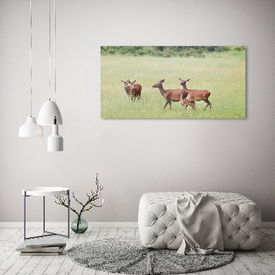 Foto schilderij op glas Ree met jongen