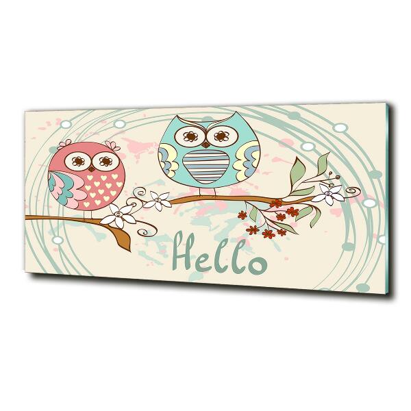 Schilderij op glas Uilen