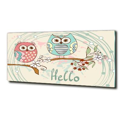 Foto obraz zdjęcie szkło hartowane Sowy