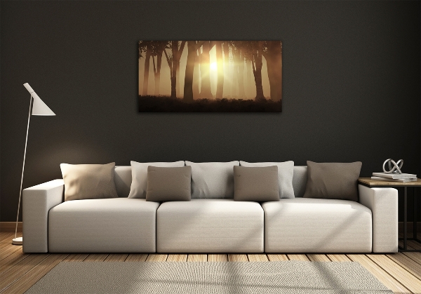 Schilderij op glas Mist in het bos