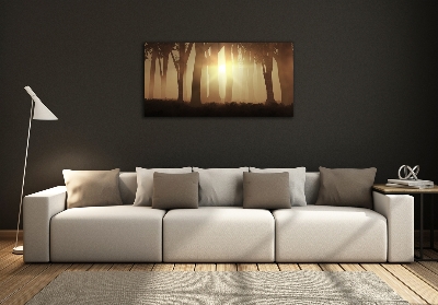 Foto obraz szkło hartowane Mgła w lesie