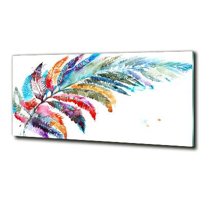 Glazen schilderij Kleurrijke veer