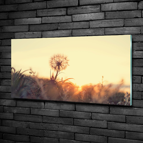 Schilderij op glas Paardebloem