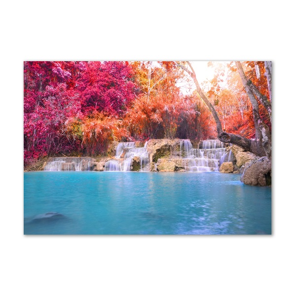 Schilderij glas Waterval in het bos