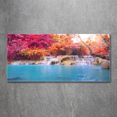 Schilderij glas Waterval in het bos