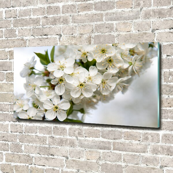 Schilderij glas Kersenbloesems