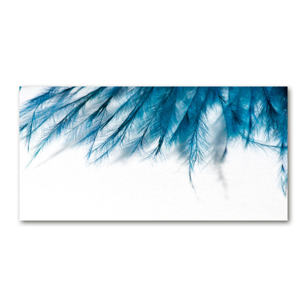 Glazen schilderij Blauwe veren