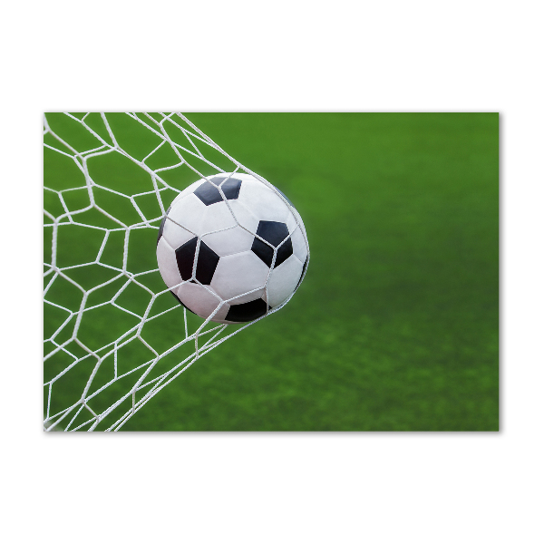 Foto obraz szkło hartowane Piłka w bramce