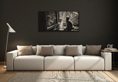 Fotoobraz na ścianę szklany Koty przy oknie