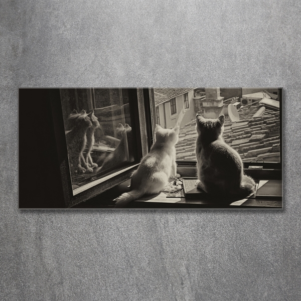 Fotoobraz na ścianę szklany Koty przy oknie