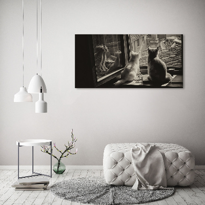 Fotoobraz na ścianę szklany Koty przy oknie