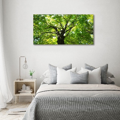 Foto schilderij op glas Groen bos