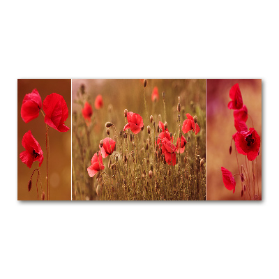 Schilderij op glas klaprozen drieluik