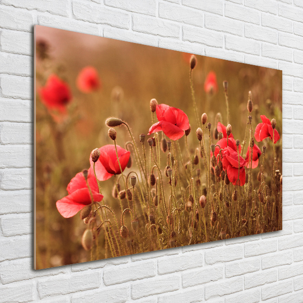 Schilderij op glas klaprozen drieluik