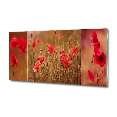 Schilderij op glas klaprozen drieluik