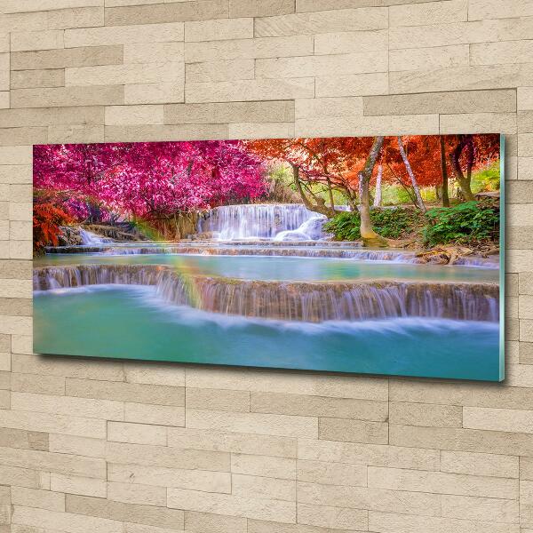 Schilderij op glas Waterval in het bos