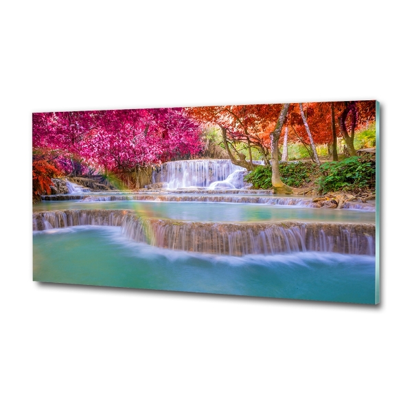 Schilderij op glas Waterval in het bos